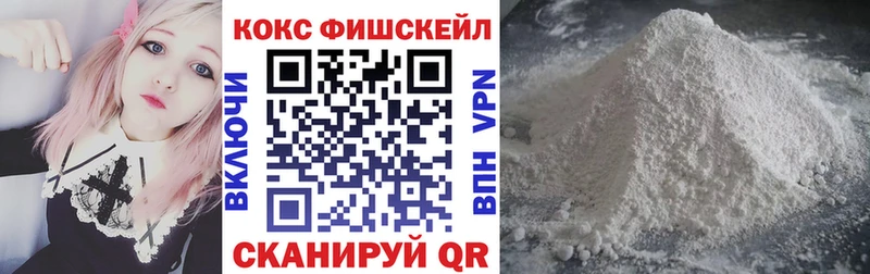 Cocaine Fish Scale  blacksprut ссылка  Новозыбков 