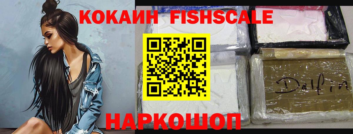 Новозыбков  Кокаин Fish Scale  КОКАИН 99%  купить   Вход с VPN 