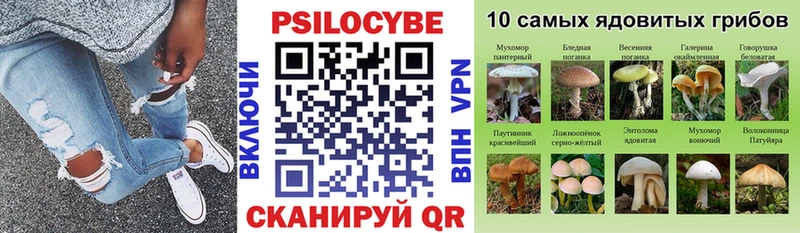 Псилоцибиновые грибы Psilocybe  Новозыбков 