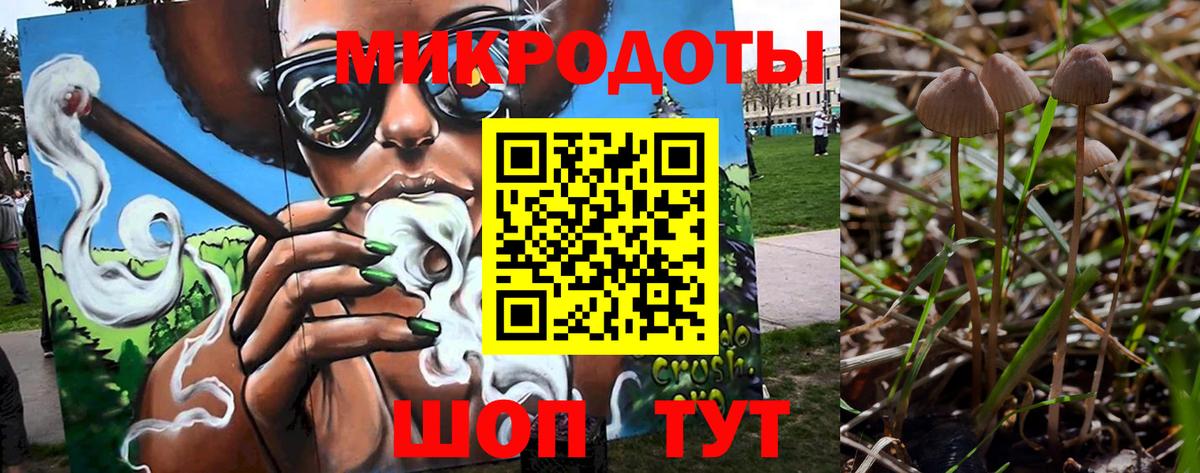 Псилоцибиновые грибы мицелий Новозыбков