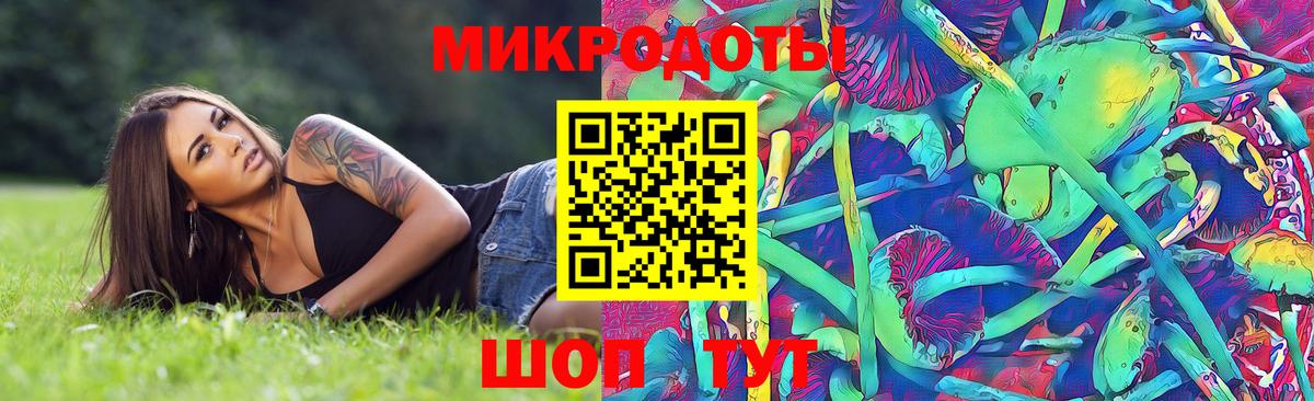 как найти закладки  Вход с VPN  Новозыбков  Галлюциногенные грибы прущие грибы 