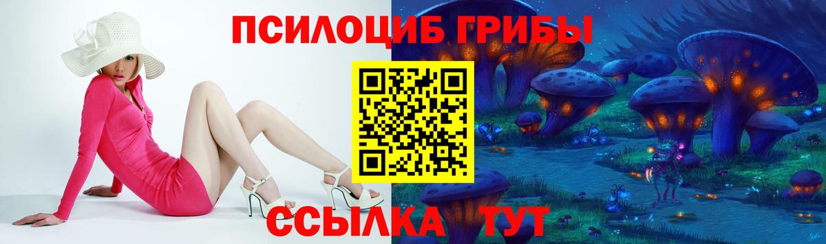 Псилоцибиновые грибы MAGIC MUSHROOMS  сколько стоит  Новозыбков 