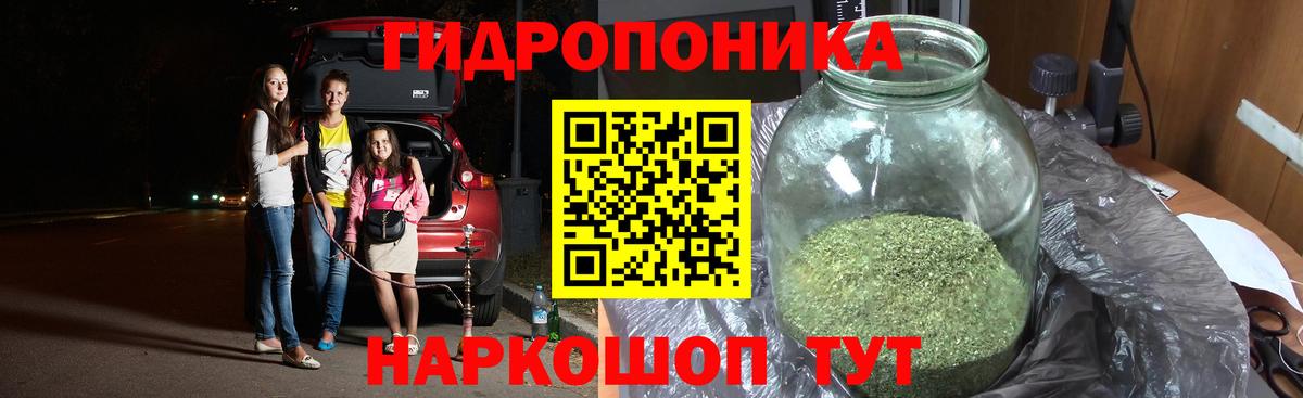 Каннабис SATIVA & INDICA Новозыбков